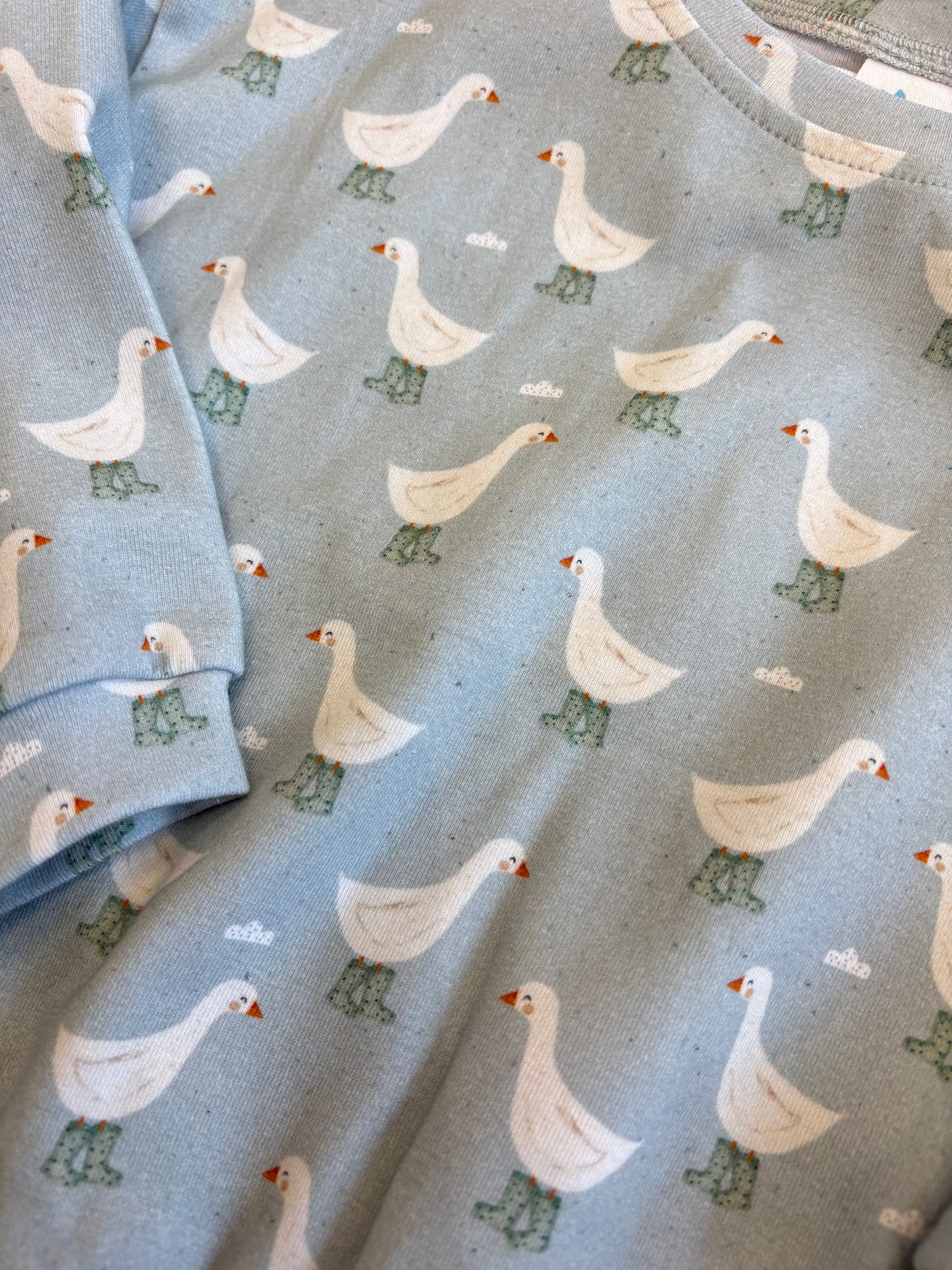 Splash Goose Sweatsuit