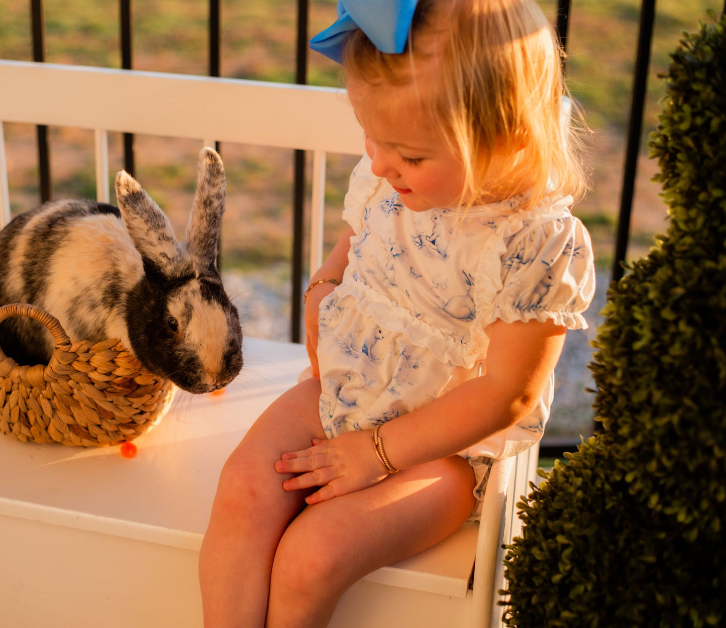 Bunnies & Butterflies Bubble