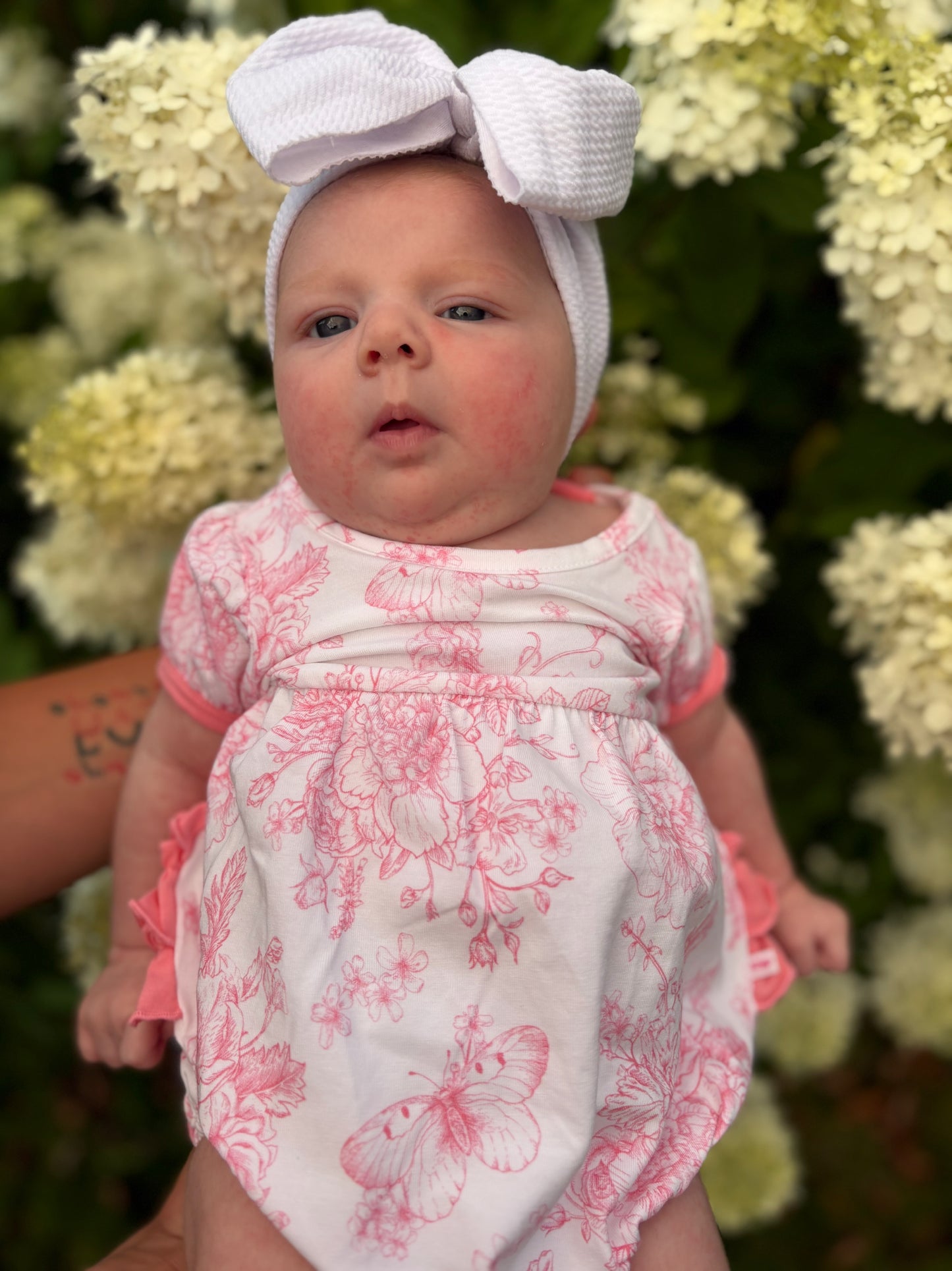 RuffleButts Butterfly Garden Dress/Bubble