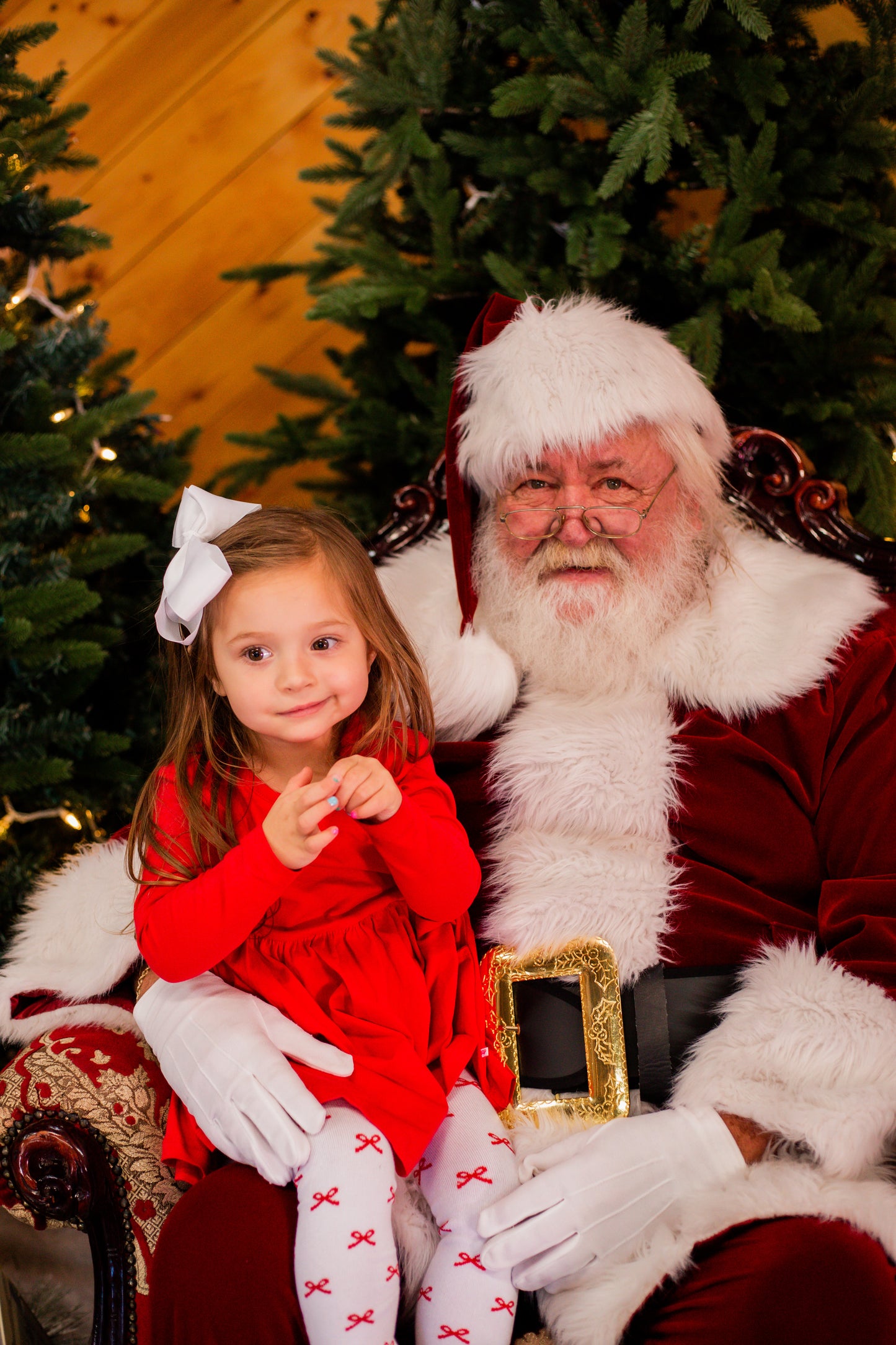 Holly Berry Bow Dress
