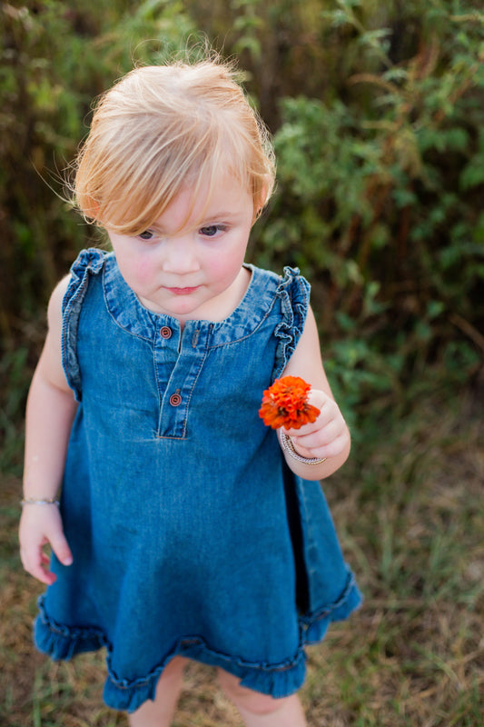 Bluebell Ruffle Denim Dress
