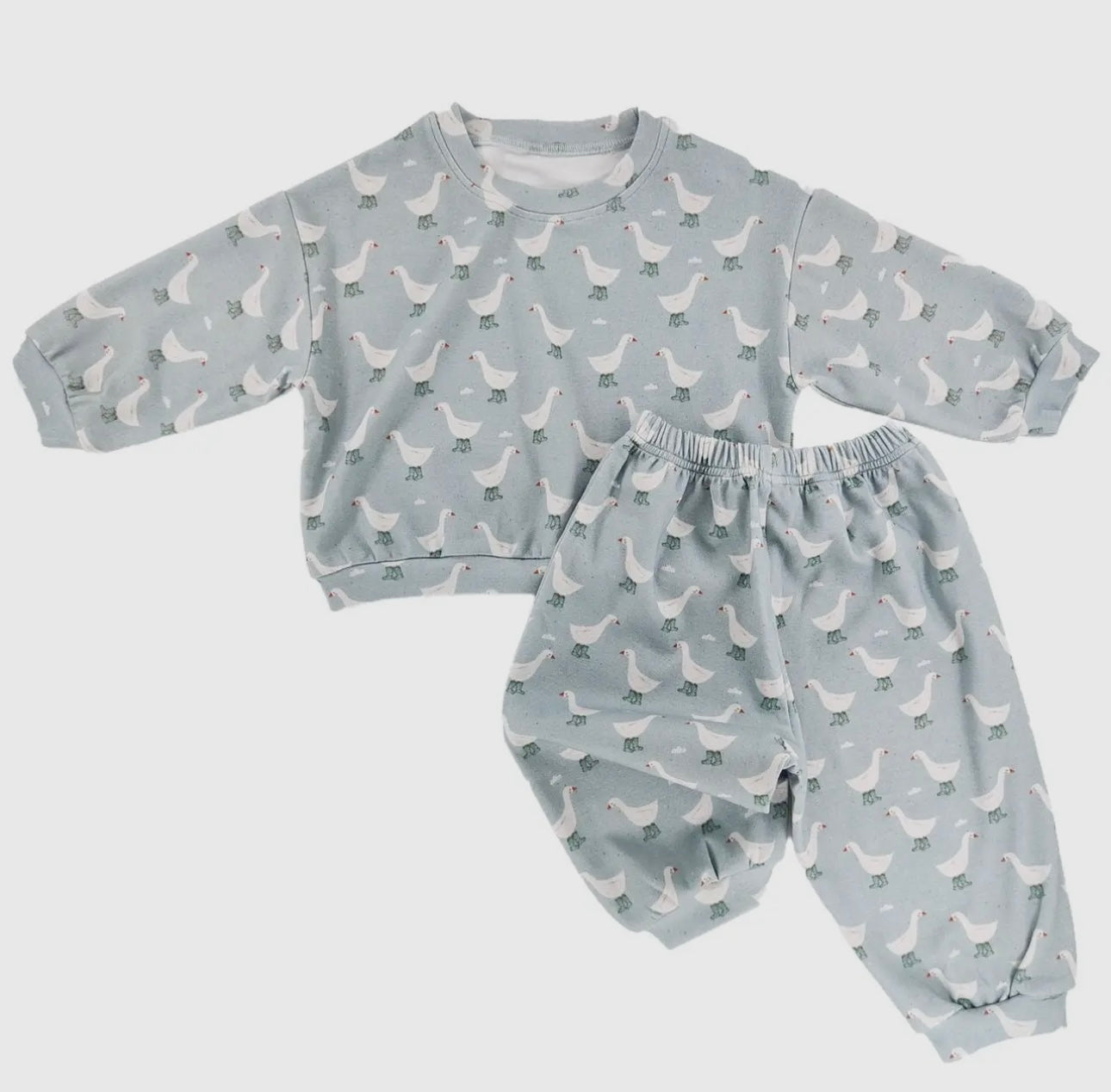 Splash Goose Sweatsuit