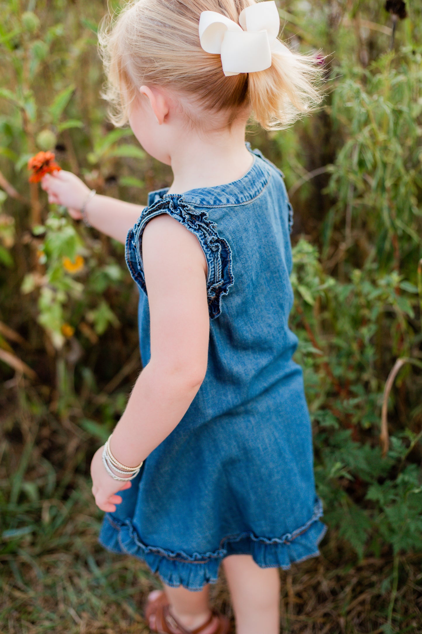Bluebell Ruffle Denim Dress