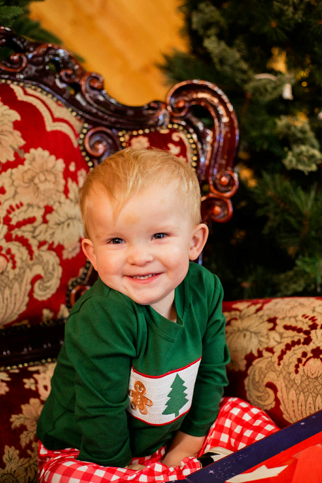 Gingerbread Forest Set