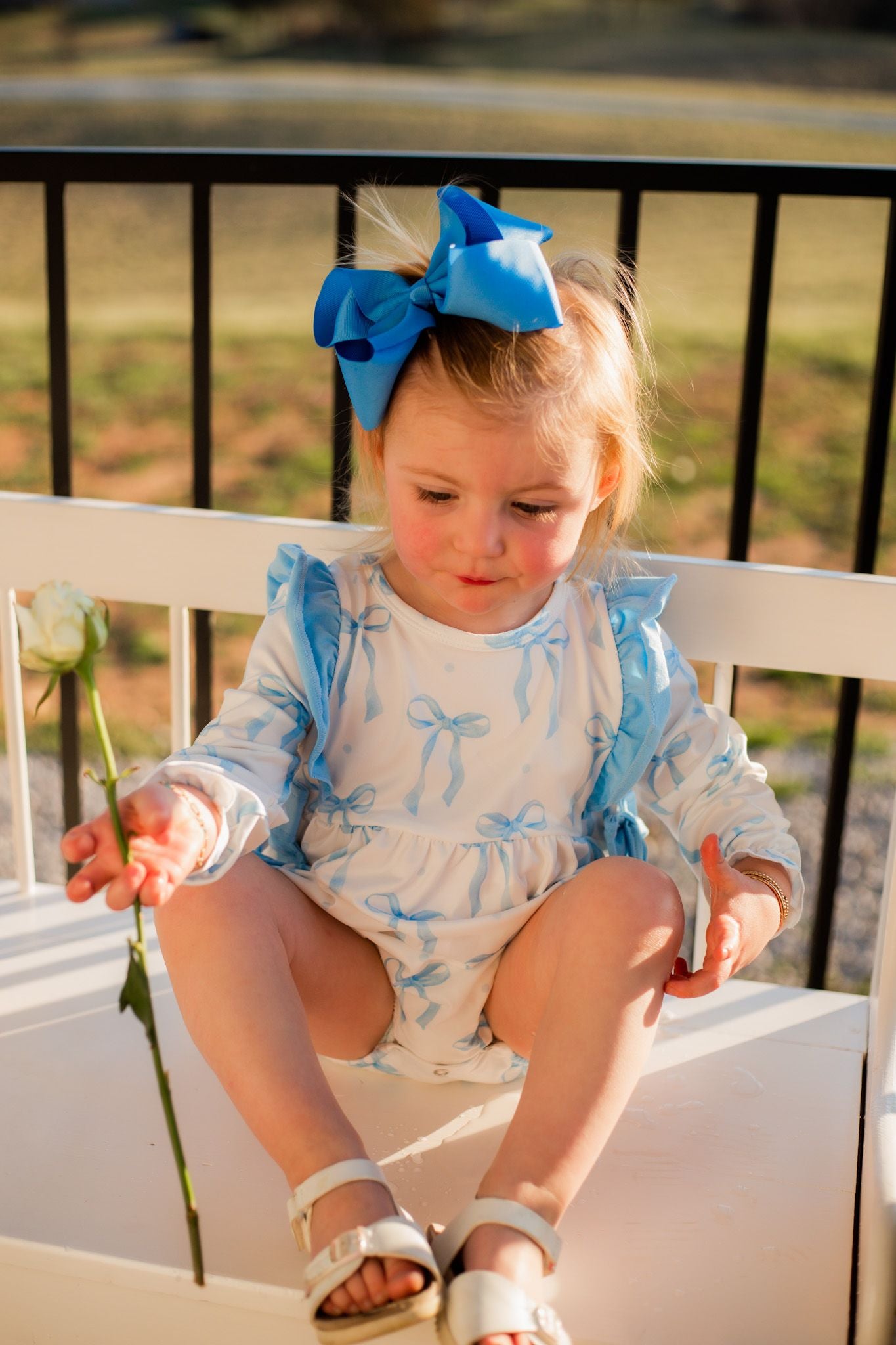 Baby Blue Bow Bubble